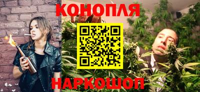 стафф Будённовск