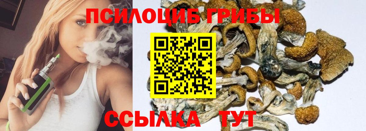 Миллерово  Псилоцибиновые грибы Psilocybine cubensis  наркотики  Галлюциногенные грибы мицелий  Вход с VPN 